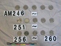 藏品(加拿大十分硬幣)的圖片